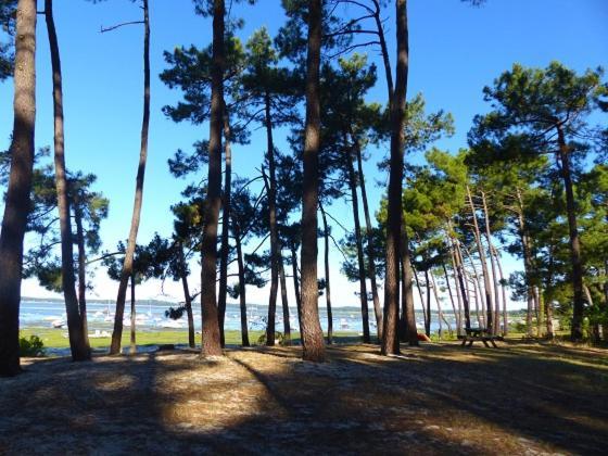 アレ Maison Oceane Proche Plageヴィラ エクステリア 写真